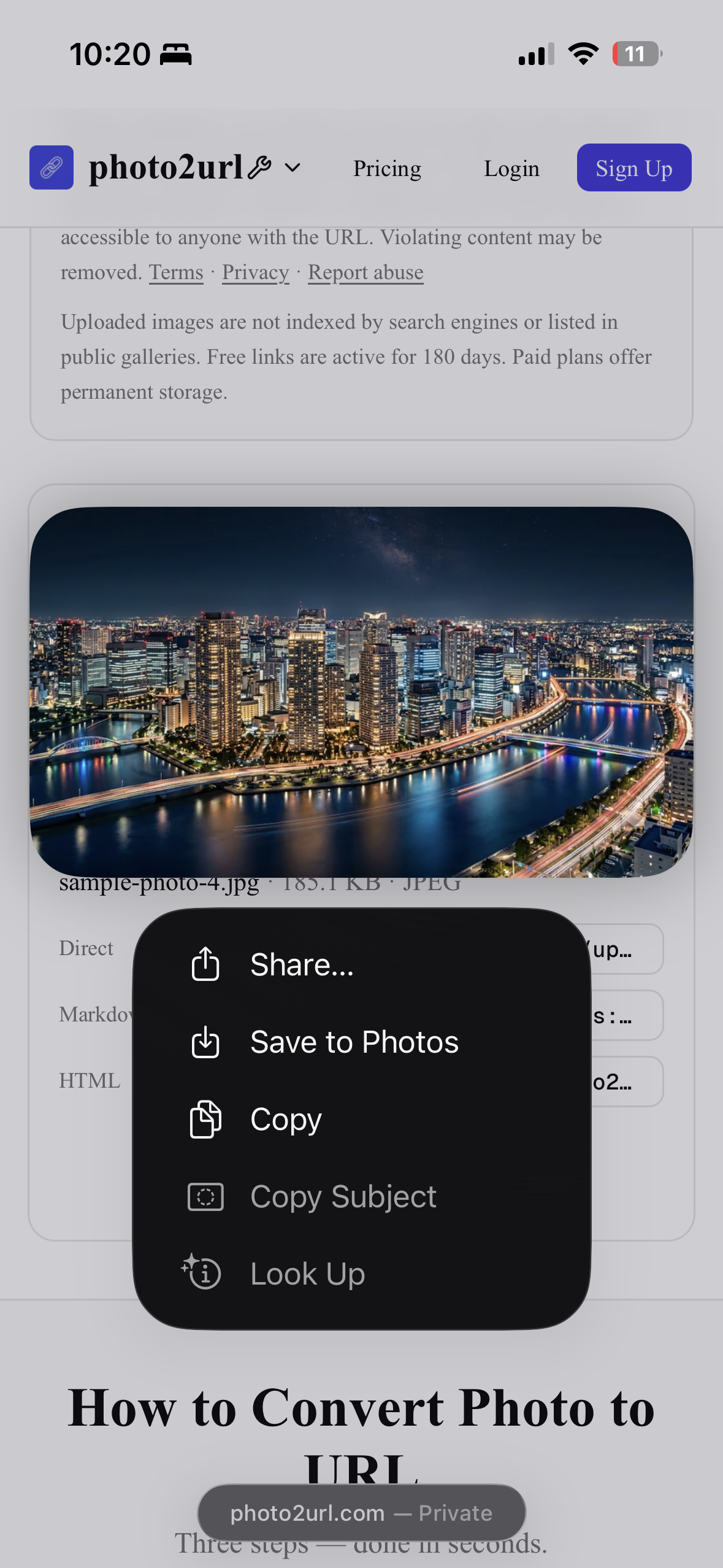 Safari on iPhone showing the long-press menu for an image, with Share, Save to Photos, and Copy actions