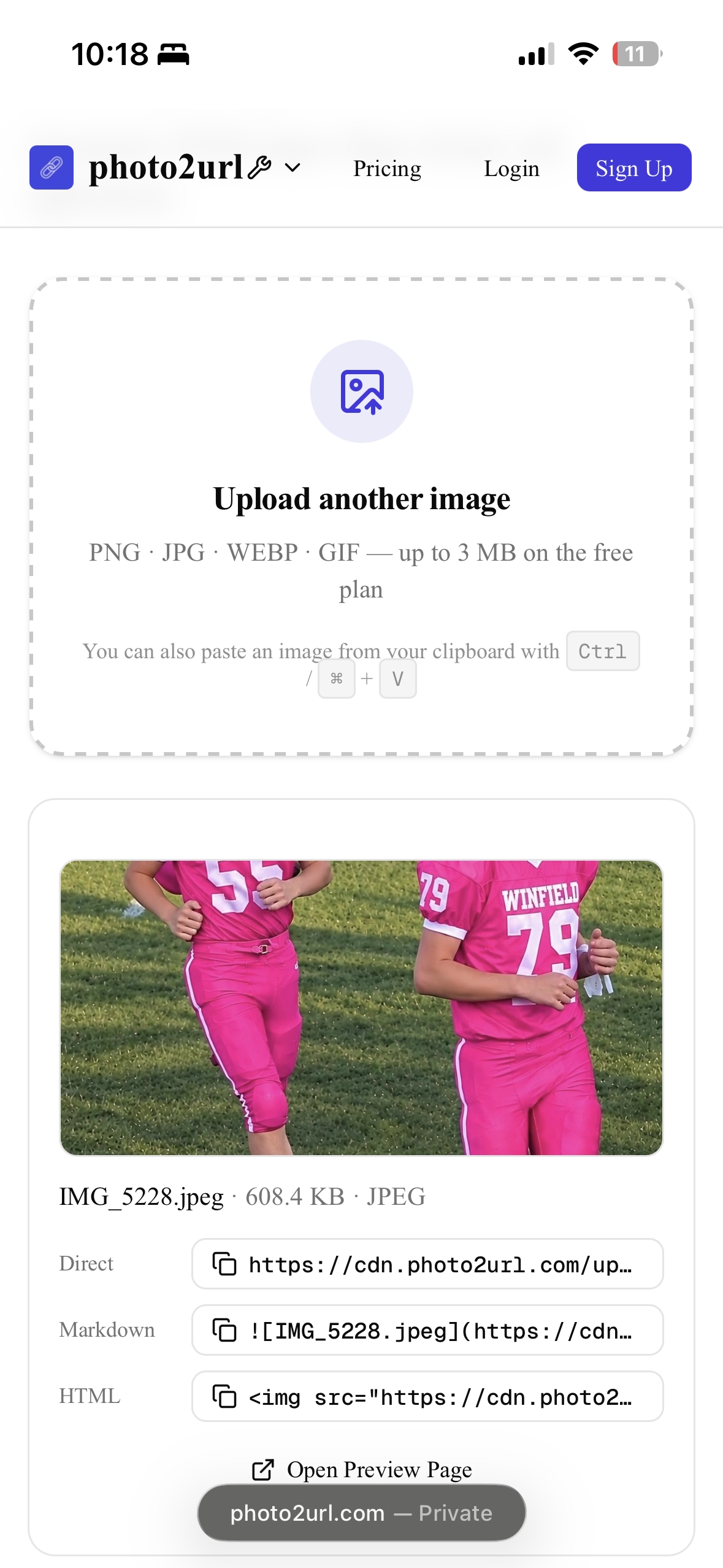 Photo2URL result card on iPhone showing a preview and the Direct, Markdown, and HTML URL fields