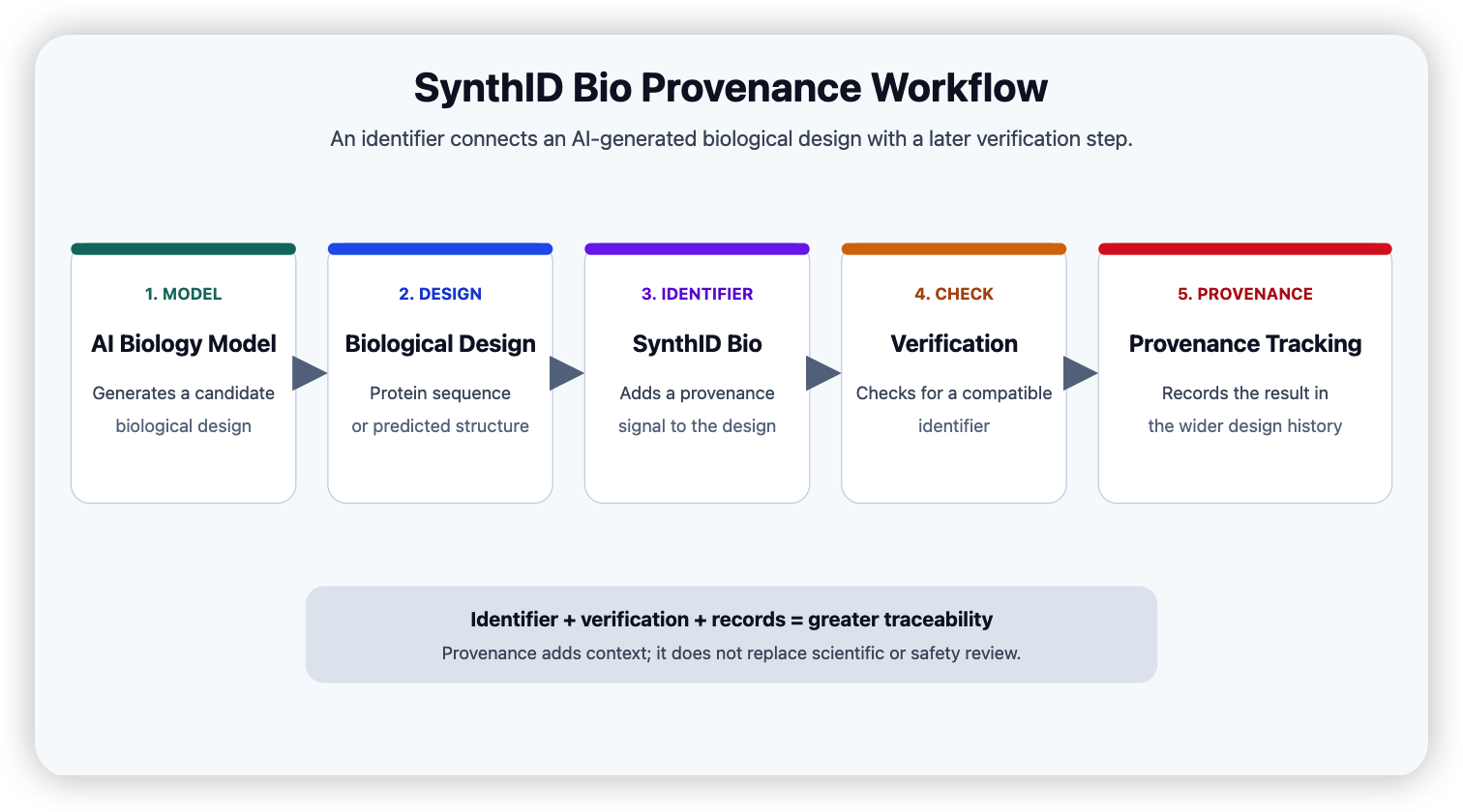 Google SynthID Bio workflow for AI-generated biological designs, from model generation and watermarking to provenance verification